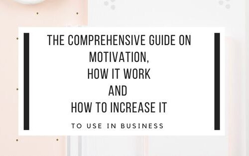 how motivation works and why motivation doesn’t work